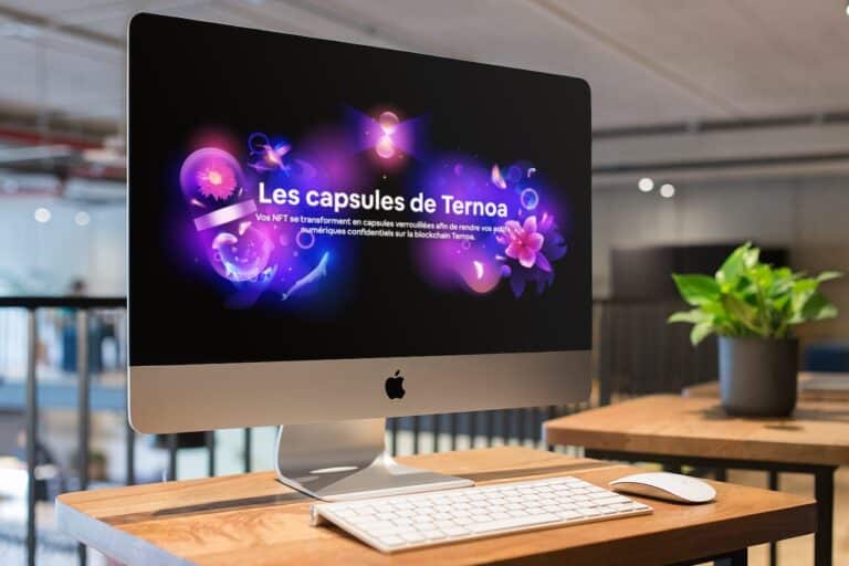 Ternoa : Plateforme de capsules NFT