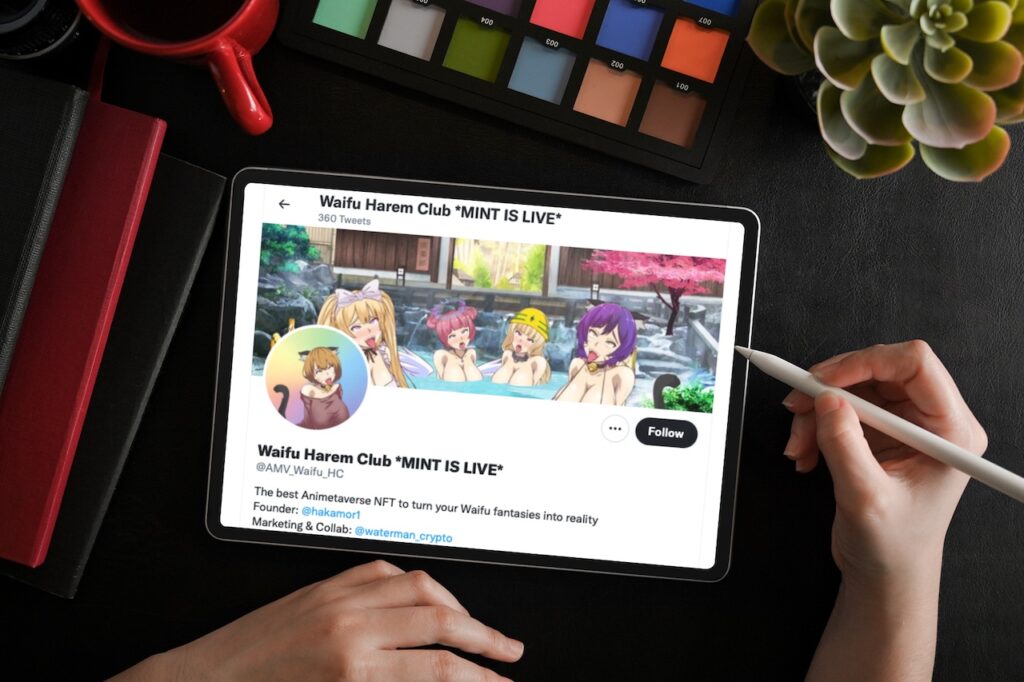 Waifu Harem Club NFTs
